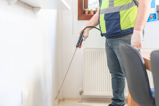 Best Mosquito Control Services  in South Russell, OH