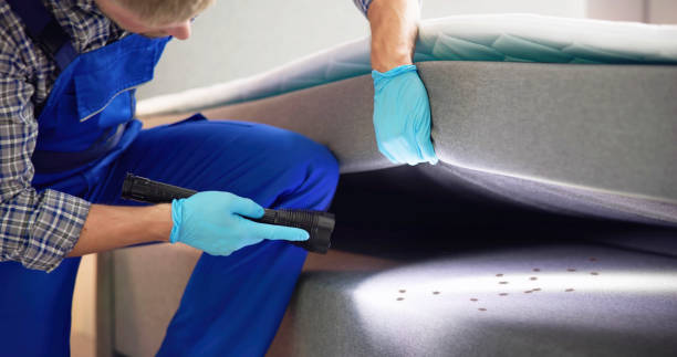 Best Pest Control Near Me  in South Russell, OH