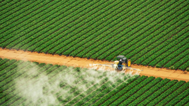 Best Termite Control Services  in South Russell, OH