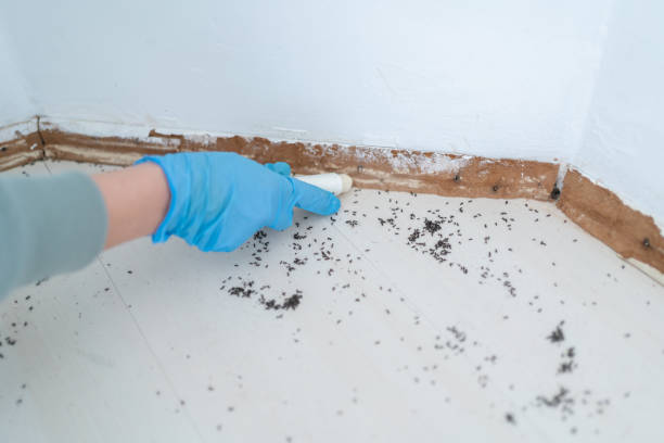 South Russell, OH Pest Control Company