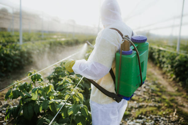 Insect Control in South Russell, OH